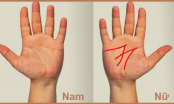 Các cụ dạy: Lòng bàn tay có 3 dấu hiệu này, nam hay nữ đều có lộc, cả đời chẳng thiếu tiền tiêu