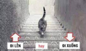Trắc nghiệm: Con mèo đi lên hay đi xuống? Câu trả lời sẽ tiết lộ năng lực đặc biệt của bạn