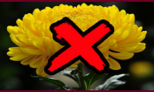 4 loại hoa để trên bàn thờ là mất lộc, ngày Rằm mùng 1 gia chủ chớ mua về
