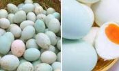 Mua trứng vịt nên chọn “vỏ trắng” hay “vỏ xanh”? Người bán tiết lộ cách chỉ người trong nghề mới biết