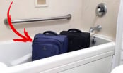 Vì sao khi nhận phòng khách sạn nên đặt vali vào nhà tắm: Lý do quan trọng ai không biết quá lãng phí