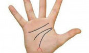Dù nam hay nữ, lòng bàn tay có 5 dấu hiệu này kiểu gì cũng phát tài, càng già càng giàu