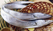Đi chợ thấy 5 loại cá này đừng tiếc tiền mua, đảm bảo đánh bắt tự nhiên, vừa ngon vừa bổ