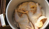 Luộc gà đừng cho mỗi muối và nước lã: Công thức luộc gà giòn da, thịt thơm ngon, săn chắc không nhạt vị