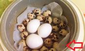 Thả miếng giấy ăn vào nồi, luộc trứng không cần nước vẫn chín mềm, đủ chất