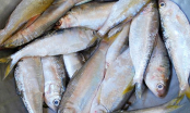 Người bán cá mách nhỏ: Đi chợ thấy 5 loại cá này, phải mua ngay, cá đánh bắt tự nhiên, vừa ngon vừa bổ