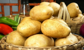 ‘Khoai tây bột’ và ‘khoai tây giòn’ hương vị rất khác, muốn chọn đúng loại ngon hãy dựa vào mẹo này