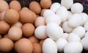 Người bán hàng lâu năm mách nhỏ: Mua trứng gà chọn quả vỏ trắng và vỏ nâu mới tốt, nhiều chất bổ