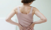 Trị đau lưng sau sinh hiệu quả từ ngải cứu