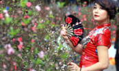 Chợ hoa lâu đời nhất Hà Nội nhộn nhịp ngày cuối năm