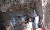Cảnh tượng kinh hoàng về ngôi mộ tập thể chôn 26 người ở Thái Lan