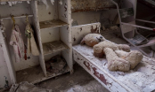 Rợn tóc gáy đến thăm “vùng đất ma” của Chernobyl