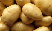 Ăn khoai tây cả đời nhưng bạn đã biết hết công dụng của nó chưa?