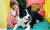 Bé gái 2 tuổi phát hiện ra bệnh ung thư nhờ chú chó cưng