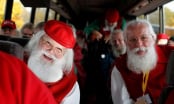 10 sự thật bất ngờ về Giáng Sinh, ông già Noel và tuần lộc