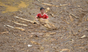 Điểm tin mới 5/8: Người dân Yên Bái liều mình vớt lộc trời bất chấp dòng nước lũ chảy xiết