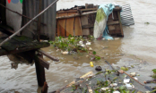 Vĩnh Long: Ba mẹ con cùng toàn bộ nhà cửa bất ngờ bị sông nhấn chìm khi đang ăn cơm