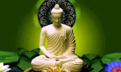 Phật dạy: Cách bạn đối xử với người khác chính là cách tạo nghiệp bản thân