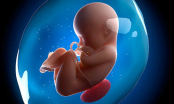 Lưu ý sự phát triển của thai nhi ở tuần 20