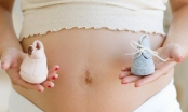 Mẹ bầu và thai nhi sẽ đảm bảo sức khỏe nếu bổ sung DHA!