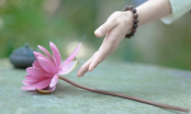 9 lời dạy của Đức Phật, phụ nữ nhất định ghi nhớ để vượt qua mọi khó khăn, đón hạnh phúc, may mắn