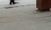 Sốc: Chàng trai quỳ gối khóc xin lỗi bạn gái trước cổng trường