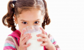 Sữa nào tốt nhất cho trẻ suy dinh dưỡng?