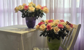 Clip: Chiêm ngưỡng những mẫu hoa hồng đẹp cho ngày Tết (P3)