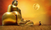 Phật dạy: Người khôn là người biết buông bỏ chứ không phải từ bỏ