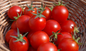 Cách bảo quản cà chua tươi lâu, thơm ngọt nhất