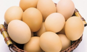 Nếu mỗi ngày bạn ăn 1 quả trứng sau một tuần điều kỳ lạ gì đến với cơ thể?