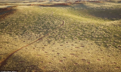 Vòng tròn thần tiên: Giải mã bí ẩn lớn nhất ở sa mạc Namib