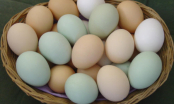 Mẹo đơn giản giúp bạn chọn trứng sạch tươi, không có chất tẩy trắng 10 quả trúng 10