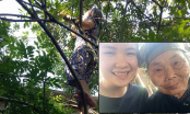 Dân mạng xúc động hình ảnh bà ngoại 75 tuổi một mình trèo cây thu hoạch quả cho cháu gái