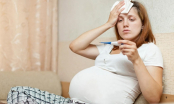 Mẹ bầu mà mắc sốt xuất huyết vào 2 thời điểm này sẽ đặc biệt nguy hiểm
