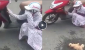 Cô gái gào khóc vật vã giữa đường vì mèo cưng chết do tai nạn giao thông gây nhiều tranh cãi