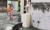 Khoảnh khắc cô bé la khóc, trèo lên cột vì sợ chó khiến ai nấy đều bật cười thích thú