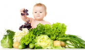 Chế độ dinh dưỡng cho bé 3 tháng tuổi