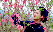 Du xuân 2018 tại Lễ hội hoa đào lần đầu tiên được tổ chức ở Lạng Sơn