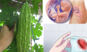 6 loại rau bà bầu không nên ăn trong THAI KỲ để tránh sảy thai, sinh non