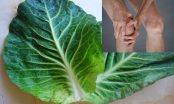 5 tác dụng chữa bệnh tuyệt vời của bắp cải