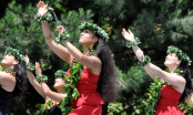 Hãy sống với tinh thần Aloha: Chân thành, từ bi và yêu thương