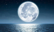 Chọn một chu kỳ mặt trăng yêu thích nhất để khám phá tâm tư ẩn sâu bên trong con người bạn