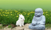 Bốn chân lý về hạnh phúc thực sự đức Phật đã dạy