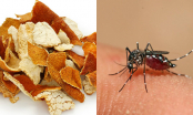 Ăn 9 thực phẩm này muỗi chắc chắn sẽ không dám lại gần bạn