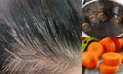 Phương pháp chữa tóc bạc hiệu quả, khiến tóc mọc ra đen nhánh không cần đi nhuộm