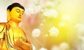 19 điều đức Phật dạy giúp bạn sống hạnh phúc hơn mỗi ngày