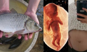 Ăn cá đúng chuẩn này để hấp thụ chất vào con không vào mẹ, thai nhi tăng cân, thông minh bất chấp di truyền