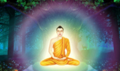 Đức Phật dạy, cố chấp không tha thứ sẽ khiến chính bản thân chúng ta đau khổ