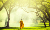 Lời Phật dạy: 3 điều còn thì không biết, mất đi mới biết